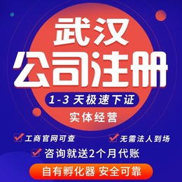 在武汉洪山区注册公司全程快至3天代理记账价廉