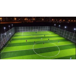 人造草坪-世纪宏达-天津足球场人造草坪