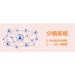 二级分销系统开发平台开发