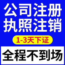 注册公司 武汉财务会计评估特价代理记账