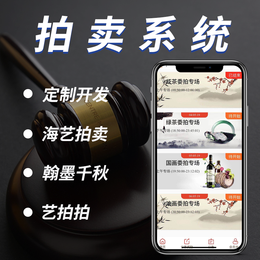 竞拍app开发系统定制软件开发