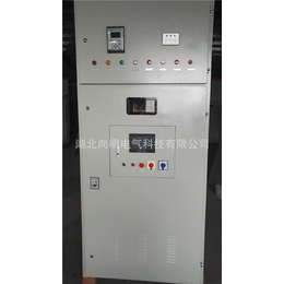 浙江高压固态软起动柜-向明电气-高压固态软起动柜生产厂家