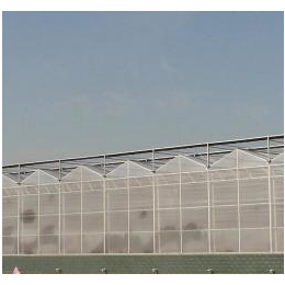阳光板温室大棚价格 连栋玻璃温室供应缩略图