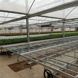 移动苗床用于温室大棚蔬菜种植的好处