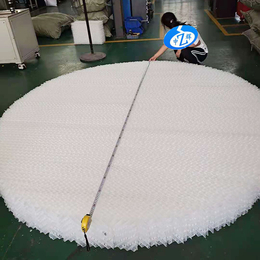 萍乡塑料填料厂家生产250孔板波纹填料塑料聚丙烯规整填料