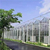 厂家出售  文洛式玻璃温室大棚  日光温室优势缩略图1
