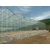 承接广州玻璃智能温室大棚 薄膜连栋温室大棚骨架铝型材缩略图1