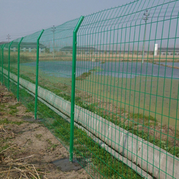 厂家定做双边丝护栏网果园圈地隔离护栏网绿色浸塑护栏网
