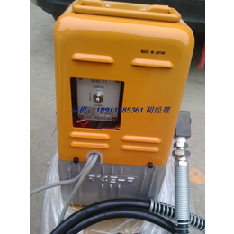 E F1电动液压泵遥控泵