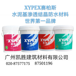 新型水泥基复合防水涂料  加拿大xypex混凝土修补堵漏剂
