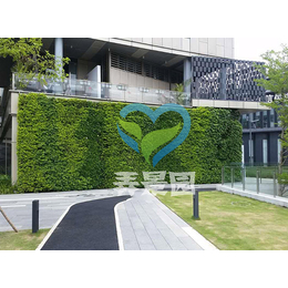 福州绿化植物墙-植物墙-福州植物墙