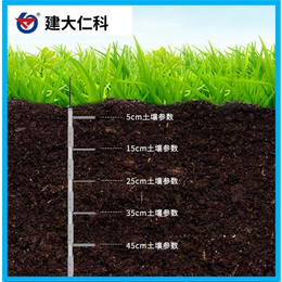 土壤传感器 潍坊管式土壤墒情检测仪 农业监测设备厂家