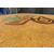 北京天然彩石洗砂地面艺术洗砂面施工价格缩略图1