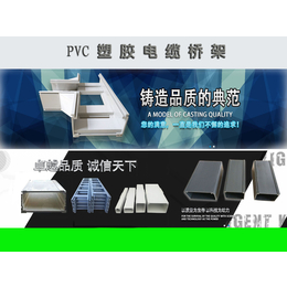 黑龙江哈尔滨PVC塑胶桥架防水防腐阻燃使用寿命长规格多