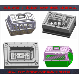 透明笼子模具塑料大号宠物窝模具