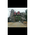 南京森林公园景观石塑石假山造型别致唯美缩略图4