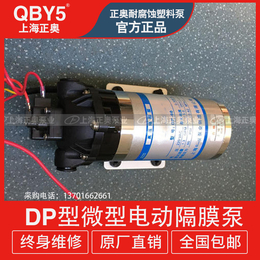 上奥牌DP微型高压电动隔膜泵 塑料耐腐蚀隔膜泵