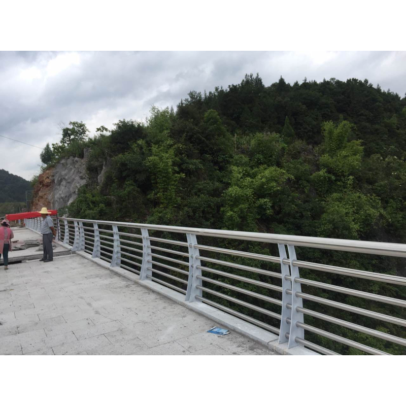 定制生产河边道路桥梁防护栏景观扶手围栏不锈钢栏杆宁波厂家