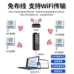 建大仁科RSWSWIFI6疾控中心WIFI温湿度变送记录仪