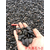 黑色鹅卵石  天然原石  景观石缩略图1