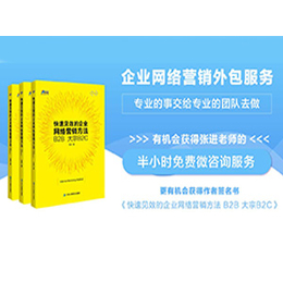 上海网络营销策划 网络营销外包 网络营销培训缩略图