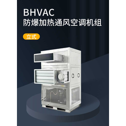 BHVAC-防爆加热通风空调机组  立式