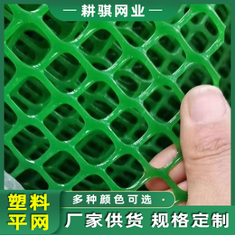 耕骐生产供应塑料网 绿色PE塑料平网 养殖用塑料网围栏