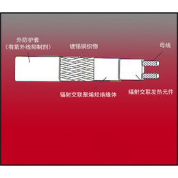 并联恒功率电伴热带型号-天津亚泰龙热控-并联恒功率电伴热带