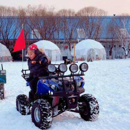 履带式雪地卡丁车 电动卡丁车双人款 全地形越野卡丁车厂家