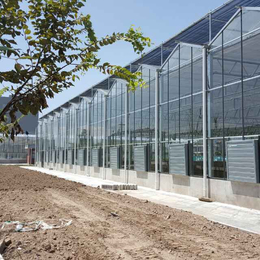 三门峡玻璃温室大棚-【诺博大棚建造】-一亩玻璃温室大棚多少钱