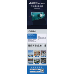 YBX系列高压隔爆型三相异步电动机H560-H710