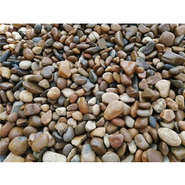广东杂色鹅卵石 湛江5至8公分变压器用料鹅卵石 鹅卵石价格