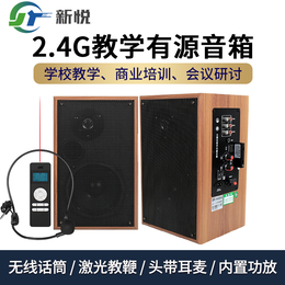 新悦YX556多功能多媒体教室会议厅壁挂音箱广播教学对箱