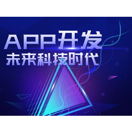 河北带货app开发 软件搭建 类似系统 源码现成