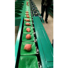 小型猕猴桃选果机厂家_淄博博山猕猴桃选果机多少钱