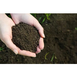 松土精多少钱-土壤改良剂(在线咨询)-宿迁松土精