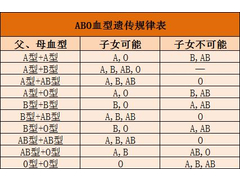 DNA亲子鉴定