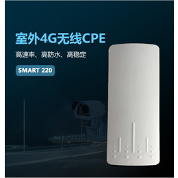 4G户外网桥 4G双卡室外CPE