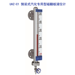 侧装式汽化*型磁翻板液位计欢迎来电