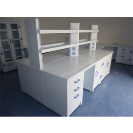 教学实验室家具-山东实验室家具-天津保全实验室设备(查看)