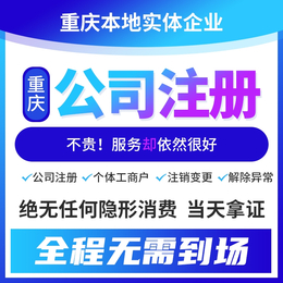 九龙坡公司注册费用及流程快速注册