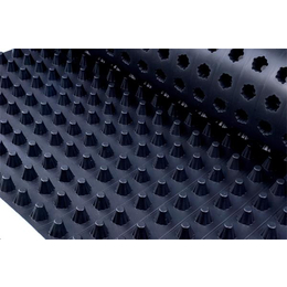 郑州凹凸型塑料排水板-泰安东诺工程材料-凹凸型塑料排水板*