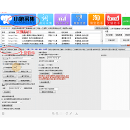 拼多多代运营公司_拼上拼截流大象软件_软件贴牌招商