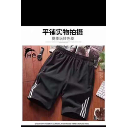 广州厂牌四面弹男短裤便宜外贸服装批发