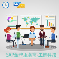 成都SAP系统 成都sap business one代理商 工博科技