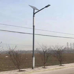 唐山太阳能路灯景区开发区太阳能路灯景观灯厂家天光灯具