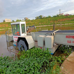 晟河割草船 水生植物清洁打捞运输设备 全自动液压水草收割船厂