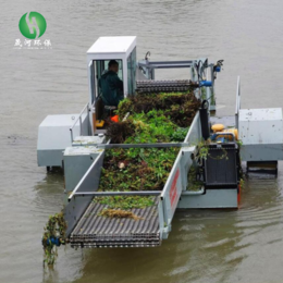 小型水库花生清理船水生植物收割打捞机械新型蓝藻打捞船缩略图