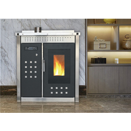暖立孚热水壁炉-壁炉-中力热能技术铸就品质
