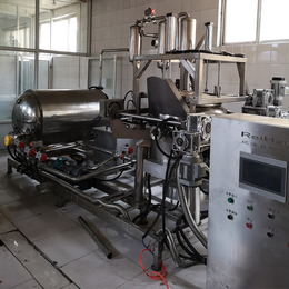海产品油炸机设备厂家-海产品油炸机设备- 山东瑞海自动化